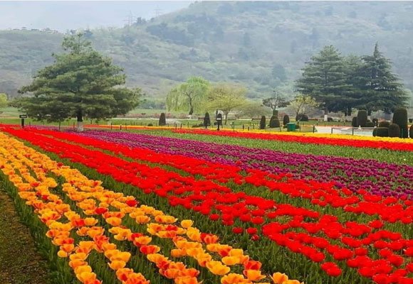 Jammu and Kashmir Tour Packages